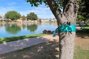 Sahuarita-03