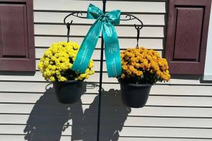 Plainville-24