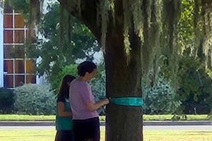 Savannah-03