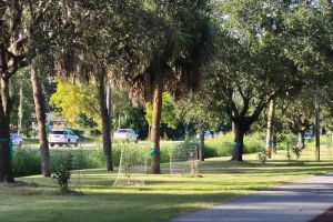 Savannah-13